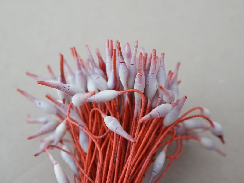 画像2: ＊蚤の市セット＊アンティーク ペップ  赤＆ライトグレー 花芯 4点セット