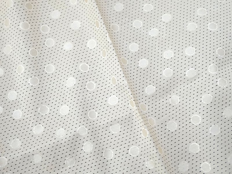 画像2: 19世紀末 アンティーク シルク製 ファブリック ジャガード織 ドット柄