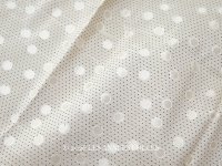 19世紀末 アンティーク シルク製 ファブリック ジャガード織 ドット柄
