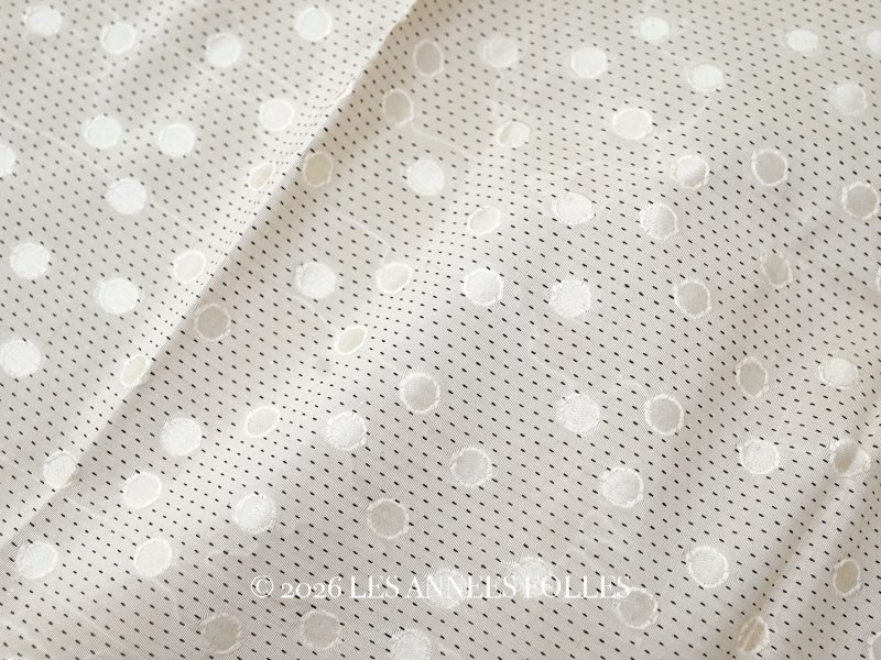 画像1: 19世紀末 アンティーク シルク製 ファブリック ジャガード織 ドット柄