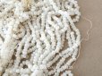 画像1: アンティーク シードビーズ パール加工 ガラスビーズ 1cm=5.5粒 70g (1)