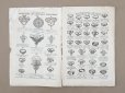 画像5: 【16周年セール対象外】1911年 アンティーク ボンマルシェ ジュエリーのカタログ Bijouterie - AU BON MARCHE - (5)