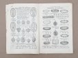 画像6: 【16周年セール対象外】1911年 アンティーク ボンマルシェ ジュエリーのカタログ Bijouterie - AU BON MARCHE - (6)