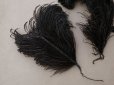 画像2: ＊蚤の市セット＊ 1900年頃 アンティーク フェザー 黒 5点セット (2)