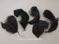 ＊蚤の市セット＊ 1900年頃 アンティーク フェザー 黒 5点セット