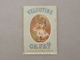 画像1: 1890年頃 アンティーク カルネ PAPIER D'ARABIE  VELOUTINE - CH.FAY PARIS  - (1)