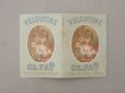 画像3: 1890年頃 アンティーク カルネ PAPIER D'ARABIE  VELOUTINE - CH.FAY PARIS  - (3)