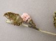 画像7: アンティーク シルク製 薔薇のロココトリム  42cm (7)