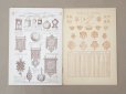 画像15: アンティーク プランタン百貨店のカタログ 全44ページ ジュエリー＆金銀細工品＆時計 - GRANDES MAGASINS DU PRINTEMPS PARIS - (15)