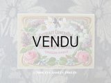 アンティーク 草花のパフュームラベル EXTRAIT CONCENTRE AUX FLEURS MIMOSA - HONORE PAYAN -