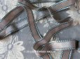 画像1: 19世紀末 アンティーク ジャガード織 リボン  2.2m (1)