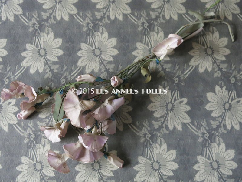 画像3: *蚤の市*アンティーク 布花 昼顔 プランタン百貨店のラベル付 - AU PRINTEMPS -