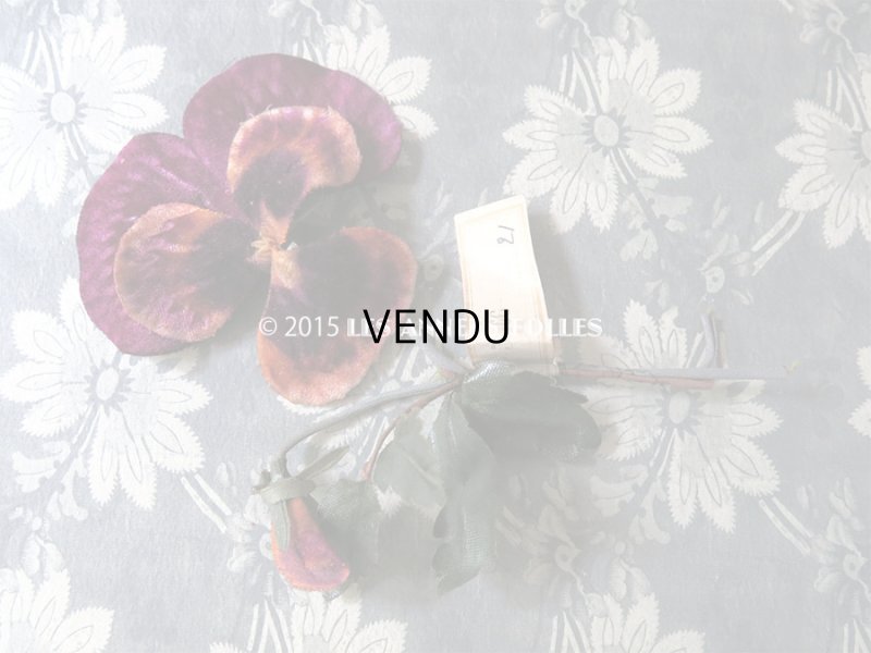 画像5: 1900年代 アンティーク コサージュ ラベル付 パンジー