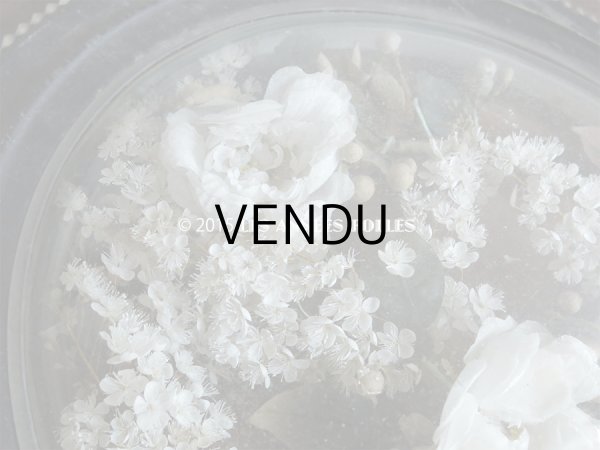 画像4: 19世紀末 アンティーク グローブ・ド・マリエ  (4)