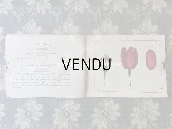 画像8: 19世紀末 アンティーク 毛糸で作る花のモチーフ 図案帳 MODELES DE FLEURS EN LAINE AVEC EXPLICATIONS DE A.ROUYER, EDITEUR, PARIS (8)