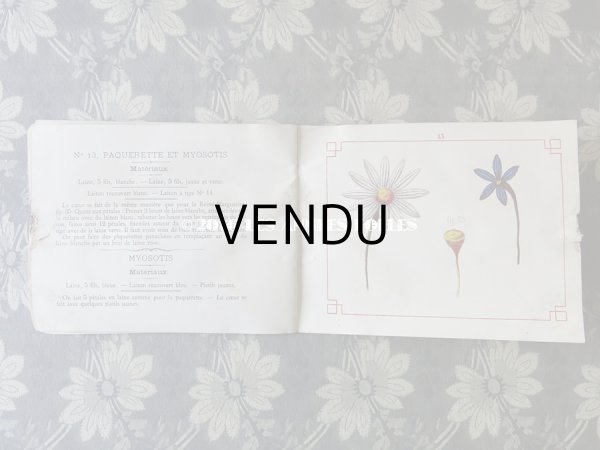 画像7: 19世紀末 アンティーク 毛糸で作る花のモチーフ 図案帳 MODELES DE FLEURS EN LAINE AVEC EXPLICATIONS DE A.ROUYER, EDITEUR, PARIS (7)