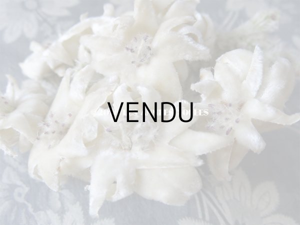 画像6: 1930年代 アンティーク  エーデルワイスのコサージュ (6)