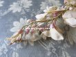 画像5: 1900年代 アンティーク 藤の花のコサージュ　ウィステリア (5)