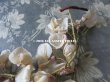 画像4: 1900年代 アンティーク 藤の花のコサージュ　ウィステリア (4)