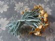 画像4: ★2016クリスマスセール対象外★ 1900年代 アンティーク 山吹の花のコサージュ (4)