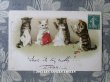画像1: 1910年代 アンティークポストカード 裁縫する子猫たち (1)