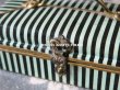 画像10: 19世紀 アンティーク ナポレオン3世時代 お菓子箱 木箱 ドラジェ & チョコレート 黒＆ミントグリーンのストライプ (10)