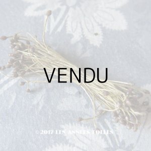 画像: 1900年代 アンティーク ペップ　ブラウン＆ワイン色  コサージュ用 花芯 