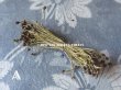 画像3: 1900年代 アンティーク ペップ　ブラウン＆ワイン色  コサージュ用 花芯  (3)