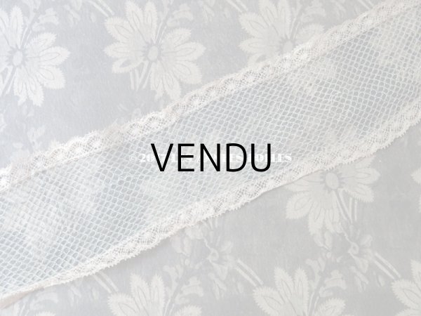 画像5: 1900年代 アンティーク 淡いブルーのチュールレース  (5)