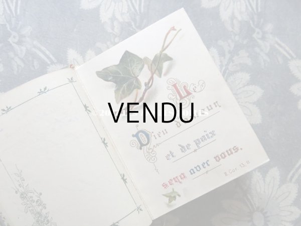 画像7: 1914年 アンティーク 本　天使&勿忘草のブーケ VERS LE CIEL (7)