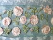 画像8: 19世紀末 アンティーク ドレス用 幅広 レース 薔薇のリボン刺繍  1.75m 幅17〜20cm (8)