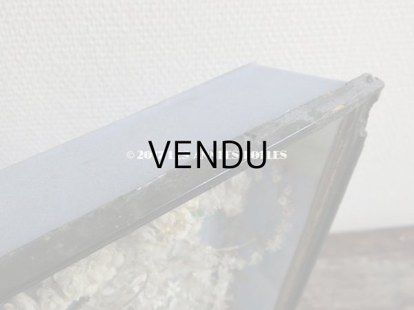 画像10: 19世紀 ナポレオン3世時代 アンティーク グローブ・ド・マリエ  (10)