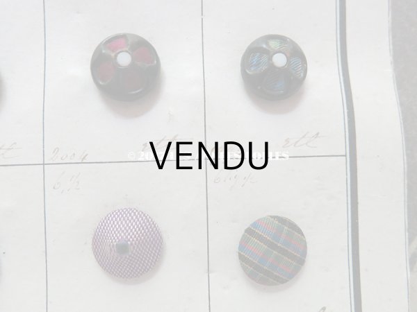 画像11: 19世紀 アンティーボタン見本 サンプラー  (11)