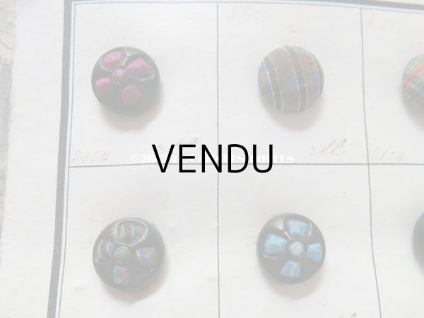 画像8: 19世紀 アンティーボタン見本 サンプラー  (8)