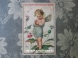 画像1: アンティーク クロモ 花の妖精と花占い IL M'AIME!  - Eau Capillaire du Docteur BRIM - (1)