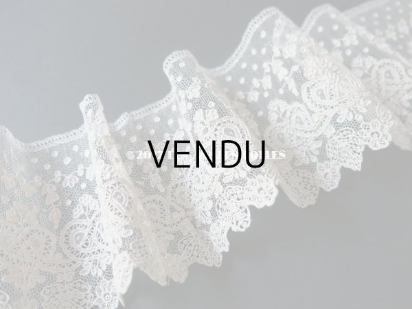 画像8: 19世紀 未使用 アンティーク ニードルレース アランソンレース 新品同様 『ポワン・ダランソン（アランソン）』  (8)