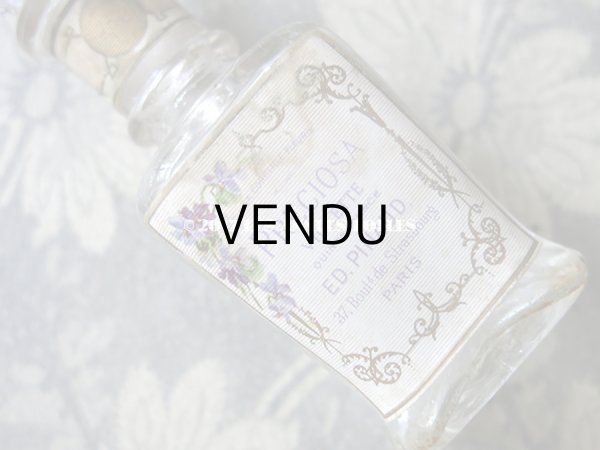 画像6: 1897年代 アンティーク パフュームボトル 菫の香水瓶 PRECIOSA VIOLETTE - ED.PINAUD - (6)
