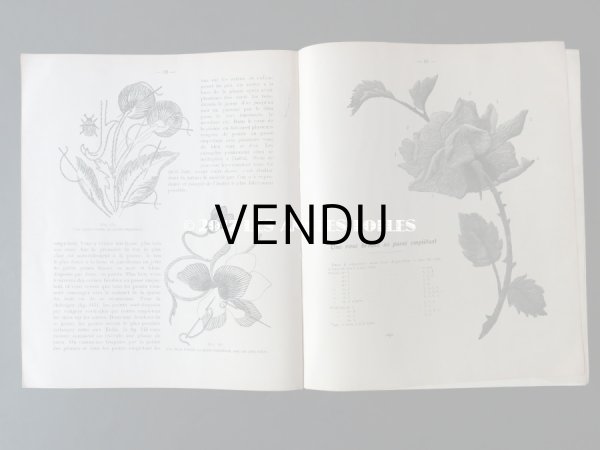 画像12: 1920年代 アンティーク 刺繍とレースの本 BRODERIE & DENTELLE LECONS PRATIQUES 2e EDITION PAR COUSINE CLAIRE - FRANCOIS TEDESCO, EDITEUR PARIS- (12)