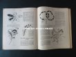 画像19: 1920年代 アンティーク 刺繍とレースの本 BRODERIE & DENTELLE LECONS PRATIQUES 2e EDITION PAR COUSINE CLAIRE - FRANCOIS TEDESCO, EDITEUR PARIS- (19)