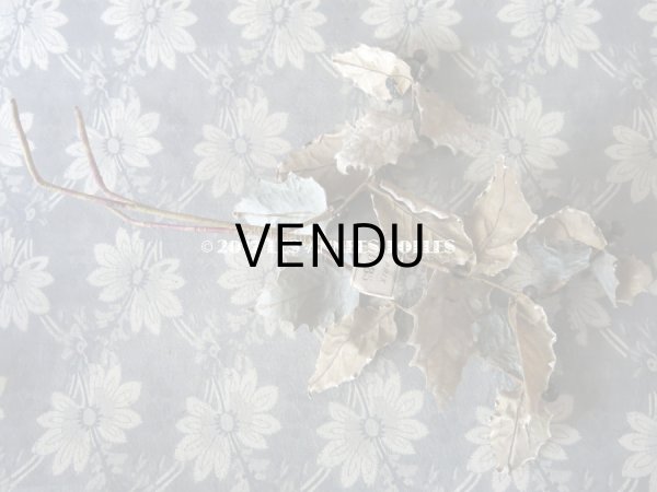 画像5: 19世紀末 アンティーク  柊のコサージュ - AU BON MARCHE - (5)