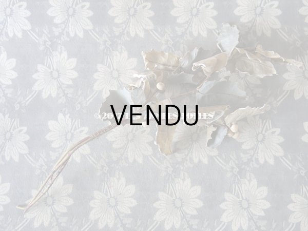 画像7: 19世紀末 アンティーク  柊のコサージュ アイボリー色の実 - AU BON MARCHE - (7)