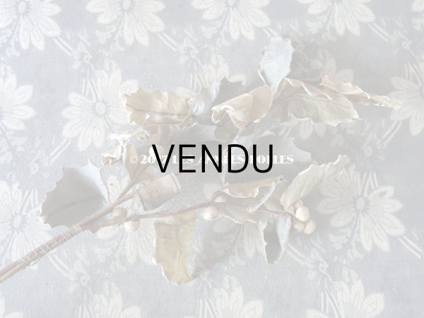 画像6: 19世紀末 アンティーク  柊のコサージュ アイボリー色の実 - AU BON MARCHE - (6)