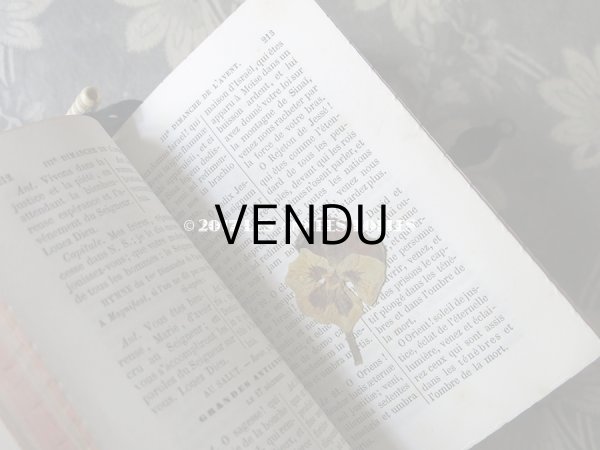 画像12: 1854年 ナポレオン3世時代 アンティーク  ミサ典書 百合の紋章柄 (12)