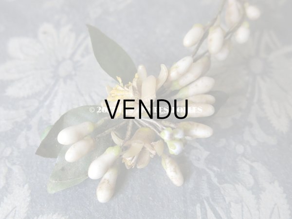 画像6: 1900年代 アンティーク ワックスフラワーのヘッドリース & ブローチ  結婚式 ウェディング ティアラ オレンジブロッサム (6)