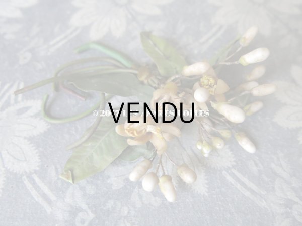 画像7: 1900年代 アンティーク ワックスフラワーのヘッドリース & ブローチ  結婚式 ウェディング ティアラ オレンジブロッサム (7)