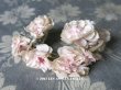 画像1: 【 2017クリスマスセール対象外 】19世紀末 アンティーク ドール用 小さな薔薇のコサージュ  (1)