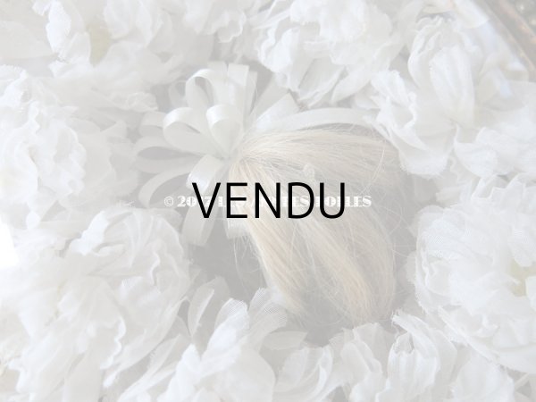 画像8: 19世紀 アンティーク ルリケール　聖遺物のガラスフレーム  白い布花  (8)