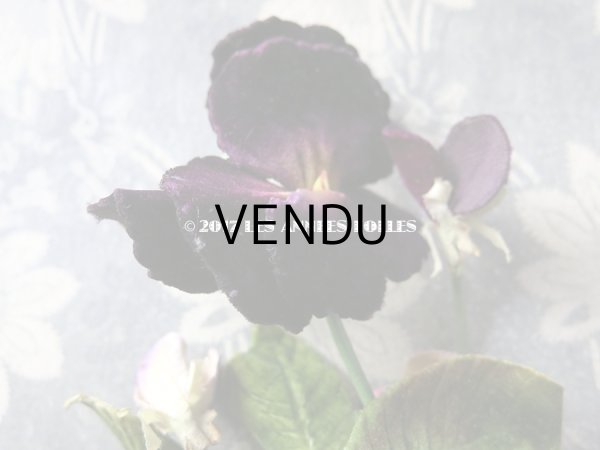 画像4: 19世紀末 アンティーク　パンジーのコサージュ 布花 (4)