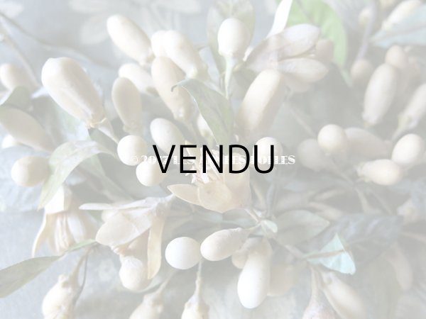 画像6: 1900年代 アンティーク ワックスフラワーのヘッドリース ウェディング 結婚式 ティアラ (6)