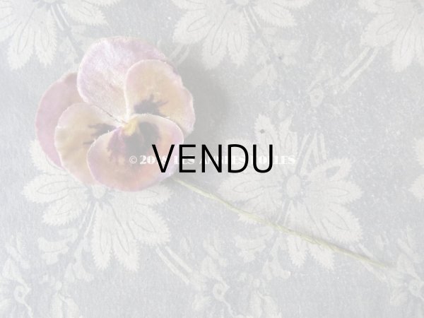 画像7: アンティーク  パンジーの布花 ベルベットのコサージュ (7)